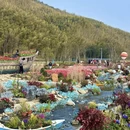 无锡旅游 缩略图 3