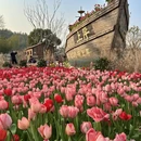 无锡旅游 缩略图 5
