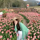 无锡旅游 缩略图 2