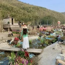 无锡旅游 缩略图 4