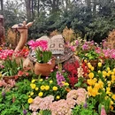 杭州旅游 缩略图 3