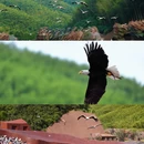 无锡旅游 缩略图 13