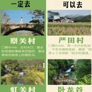 黄山旅游 缩略图 3