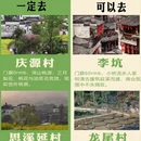 黄山旅游 缩略图 2