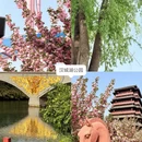 西安旅游 缩略图 3
