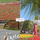 西安旅游 缩略图 2