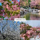 西安旅游 缩略图 4