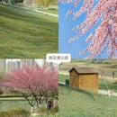 西安旅游 缩略图 6