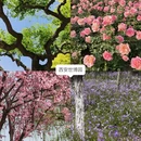 西安旅游 缩略图 5