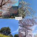 西安旅游 缩略图 7