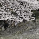 杭州旅游 缩略图 8