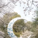 杭州旅游 缩略图 6