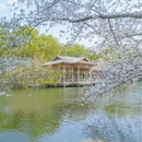 杭州旅游 缩略图 12
