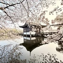 杭州旅游 缩略图 7