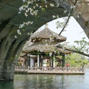 杭州旅游 缩略图 13