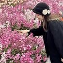 杭州旅游 缩略图 4