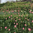 杭州旅游 缩略图 7