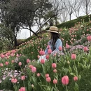 杭州旅游 缩略图 14