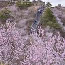 北京旅游 缩略图 1