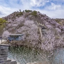 北京旅游 缩略图 7