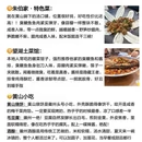黄山旅游 缩略图 4