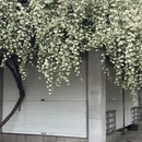 杭州旅游 缩略图 11