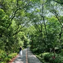 重庆旅游 缩略图 1
