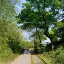 重庆旅游 缩略图 9
