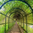 重庆旅游 缩略图 7