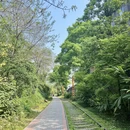 重庆旅游 缩略图 10