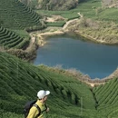 杭州旅游 缩略图 1
