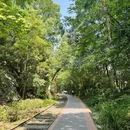 重庆旅游 缩略图 4