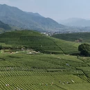 杭州旅游 缩略图 2
