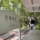重庆旅游 缩略图 13