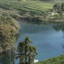 杭州旅游 缩略图 5