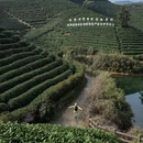 杭州旅游 缩略图 7