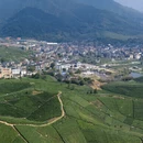 杭州旅游 缩略图 9