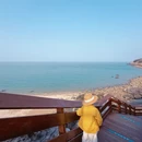 连云港旅游 缩略图 3