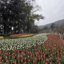 杭州旅游 缩略图 2