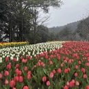 杭州旅游 缩略图 3