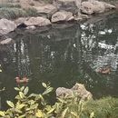 杭州旅游 缩略图 6