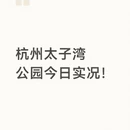 杭州旅游 缩略图 1