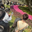 杭州旅游 缩略图 2