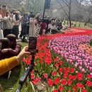 杭州旅游 缩略图 3