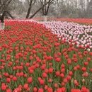 杭州旅游 缩略图 3