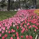 杭州旅游 缩略图 1