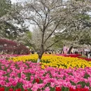 杭州旅游 缩略图 2