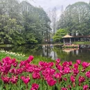 杭州旅游 缩略图 4