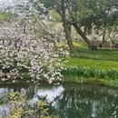 杭州旅游 缩略图 8