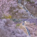 北京旅游 缩略图 4